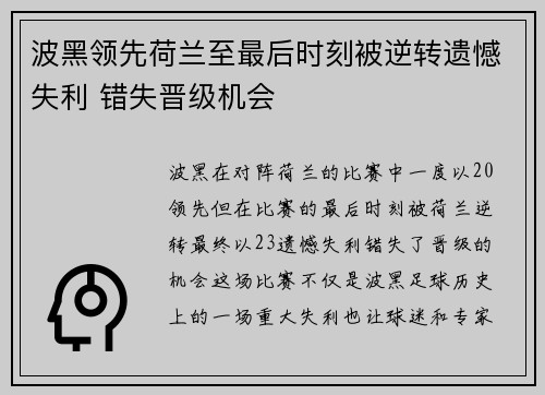 波黑领先荷兰至最后时刻被逆转遗憾失利 错失晋级机会