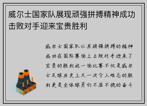 威尔士国家队展现顽强拼搏精神成功击败对手迎来宝贵胜利