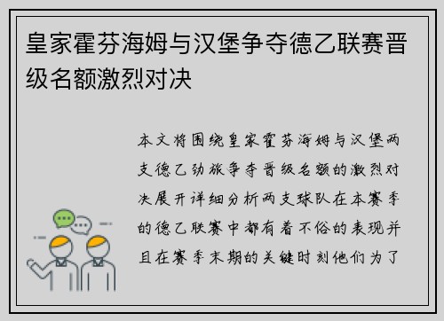 皇家霍芬海姆与汉堡争夺德乙联赛晋级名额激烈对决